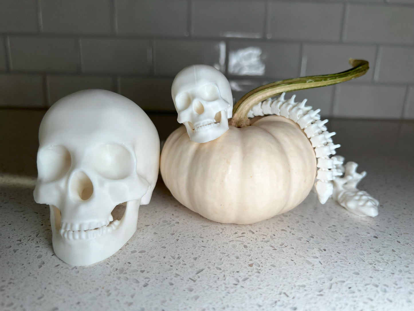 Human Skull with Articulated Spine - Gothic Halloween Decoration & Creepy Prop!