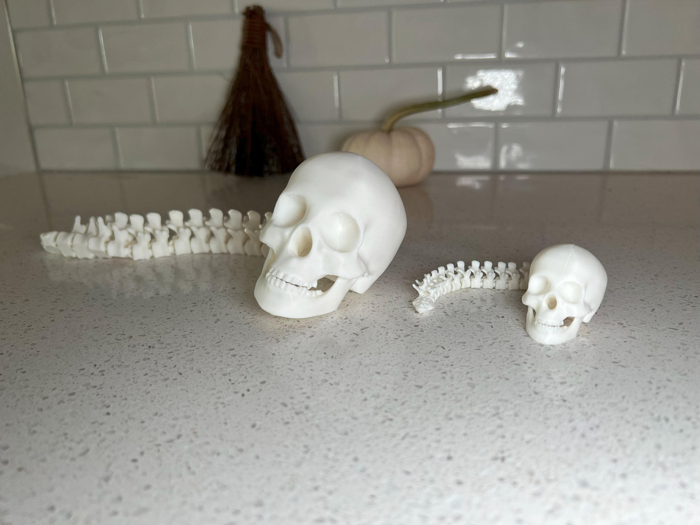 Human Skull with Articulated Spine - Gothic Halloween Decoration & Creepy Prop!