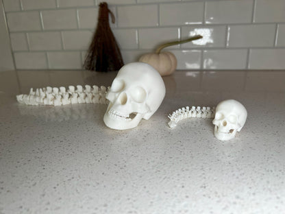 Human Skull with Articulated Spine - Gothic Halloween Decoration & Creepy Prop!