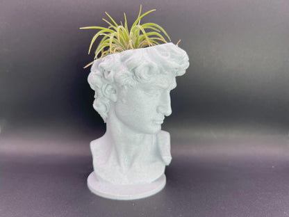 David Planter: Decorative Sculpture for Succulents & Air Plants