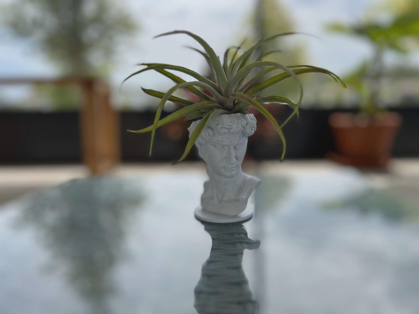 David Planter: Decorative Sculpture for Succulents & Air Plants