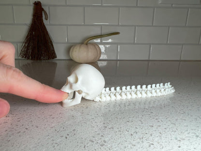 Human Skull with Articulated Spine - Gothic Halloween Decoration & Creepy Prop!