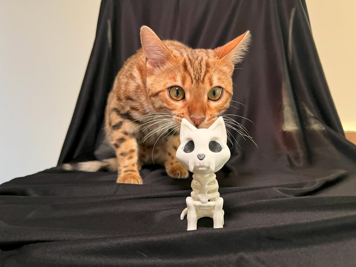 Spooky Cat Skeleton Halloween Decoration