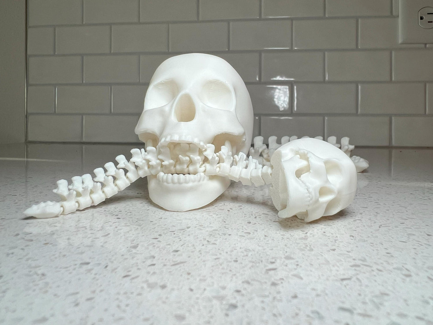 Human Skull with Articulated Spine - Gothic Halloween Decoration & Creepy Prop!