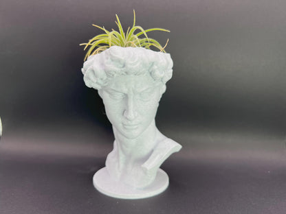 David Planter: Decorative Sculpture for Succulents & Air Plants