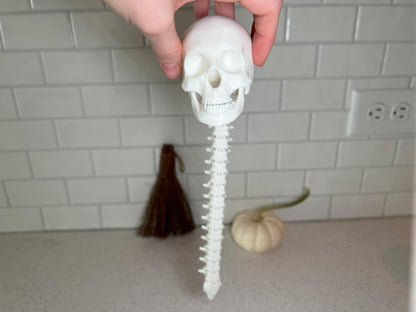 Human Skull with Articulated Spine - Gothic Halloween Decoration & Creepy Prop!