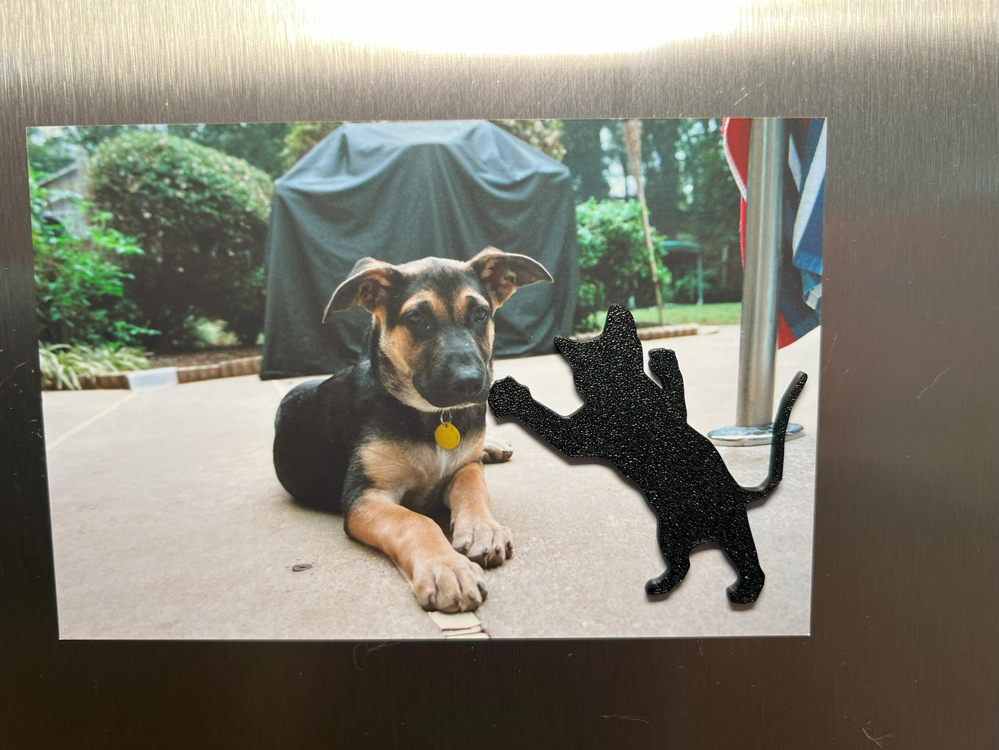 Black Cat Silhouette Magnets: Sparkle Finish, Set of 4