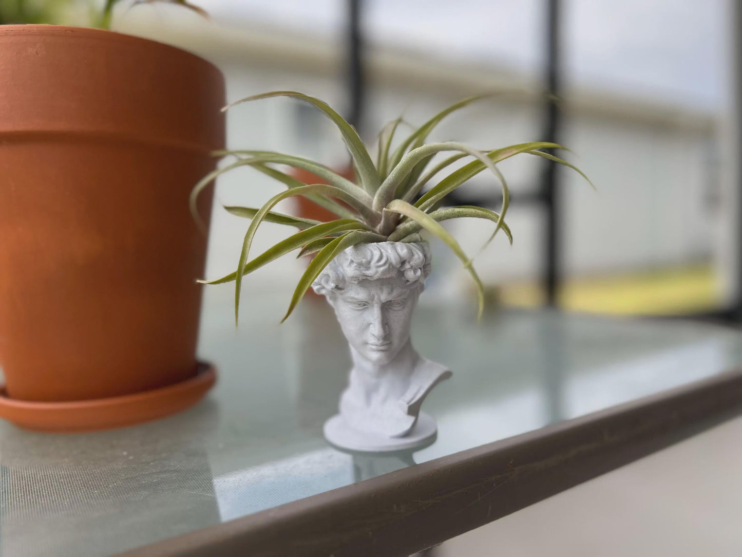 David Planter: Decorative Sculpture for Succulents & Air Plants