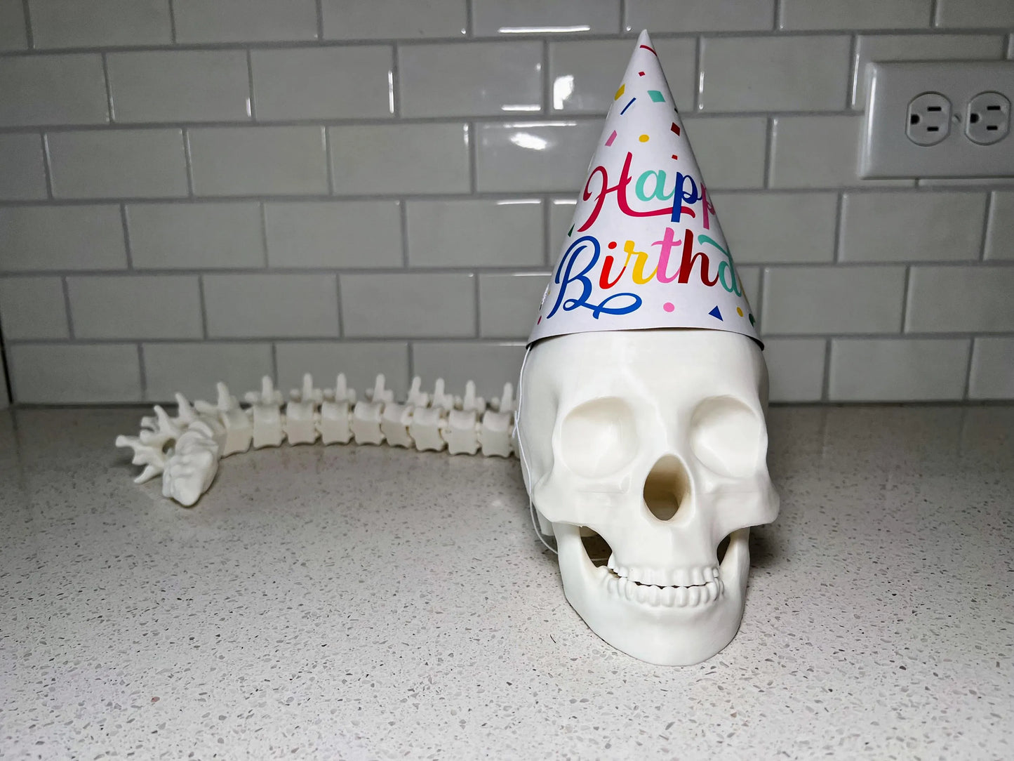 Human Skull with Articulated Spine - Gothic Halloween Decoration & Creepy Prop!